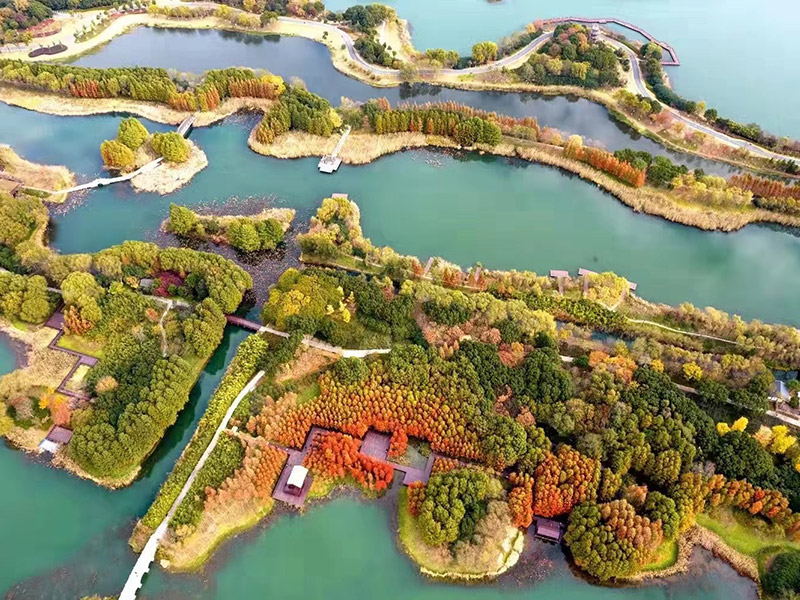 开云(中国)Kaiyun·官方网站-科技股份有限公司